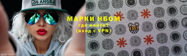 хмурый Алзамай